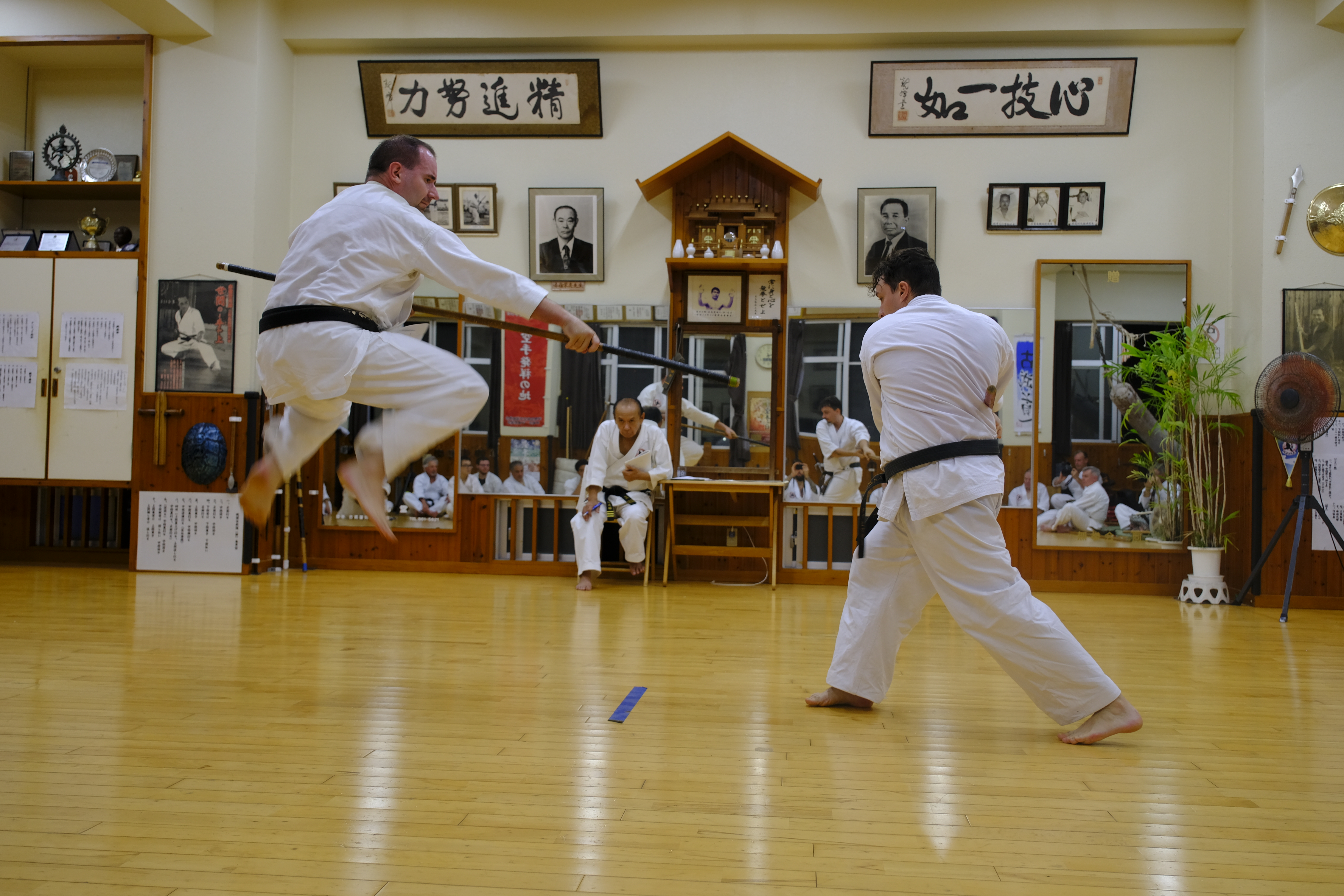 Ryukyu Kobudo Shimbukan – trening