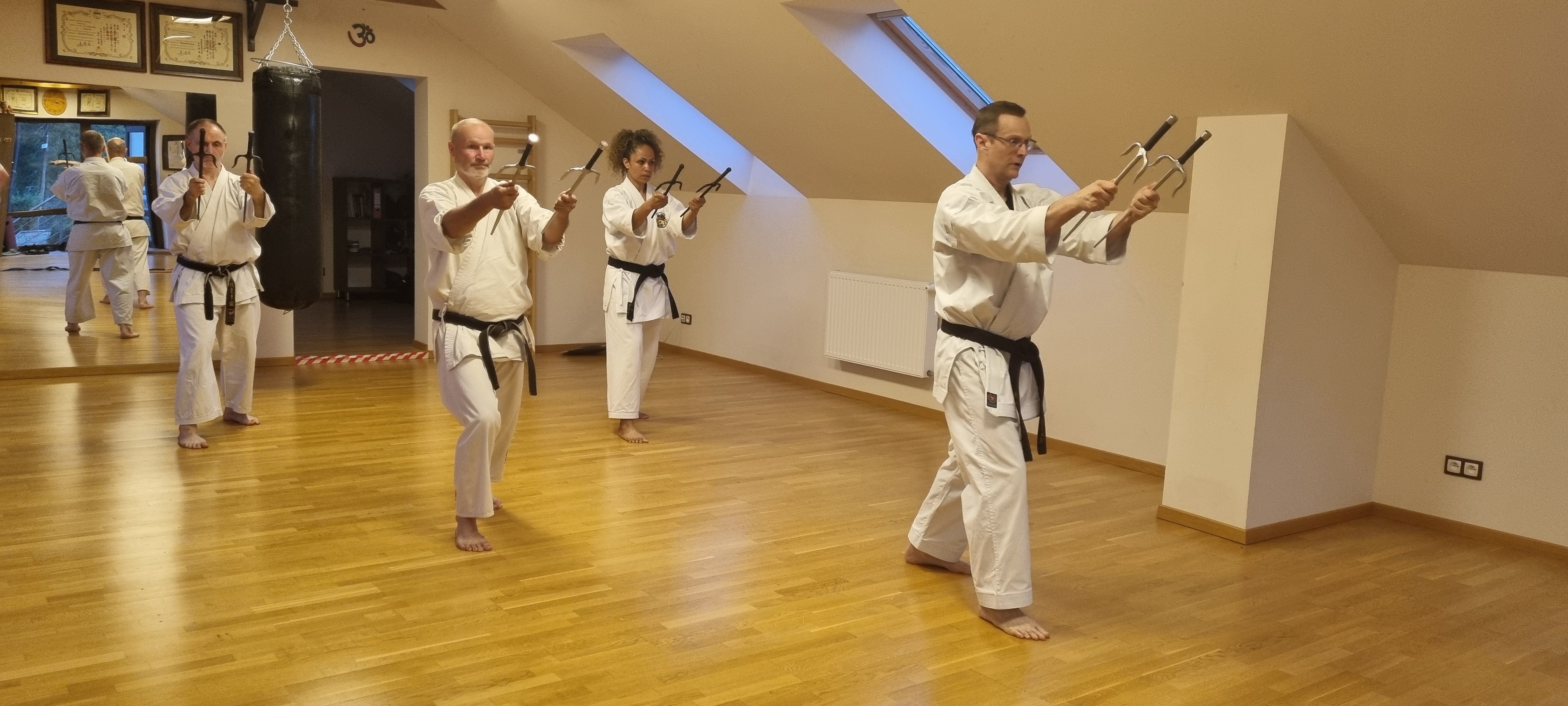 Ryukyu Kobudo Shimbukan – trening
