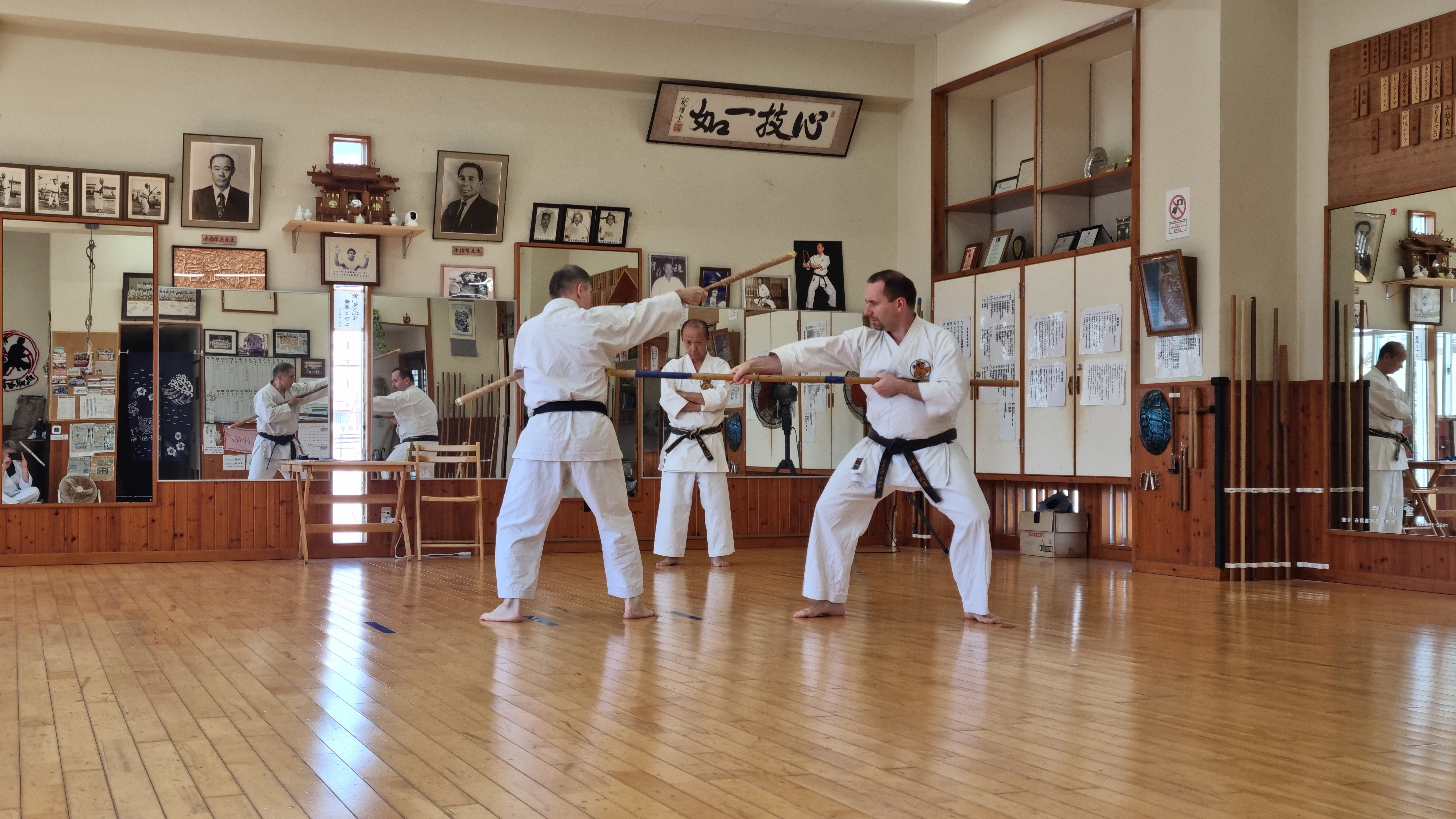 Ryukyu Kobudo Shimbukan – trening